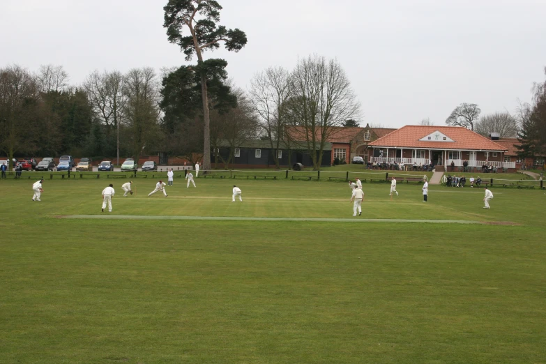 a group of people are playing a game of cricket