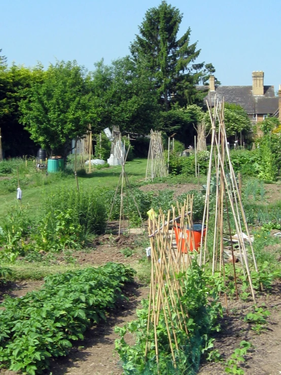 a vegetable garden is displayed with a small hut and vegetable gardens