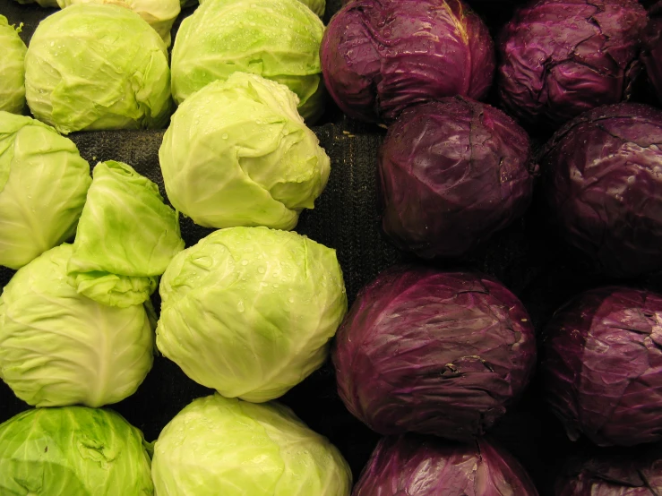 vegetables that include cabbage and red cabbage