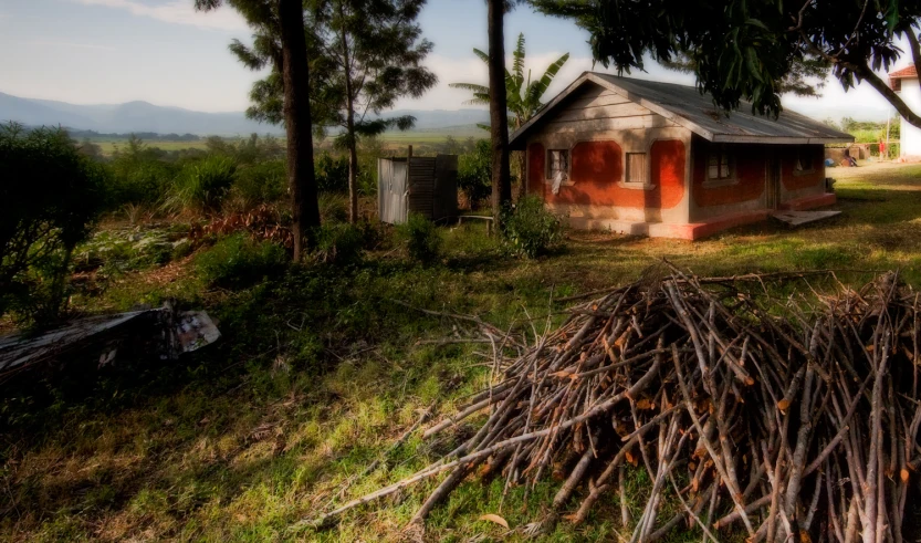 a pile of twigs sits in front of a small shack