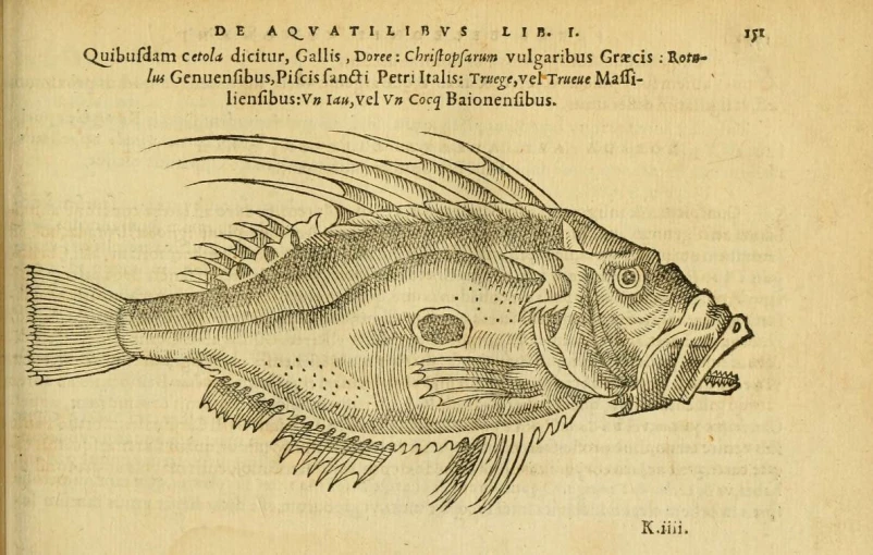 a drawing of a fish, with its mouth open