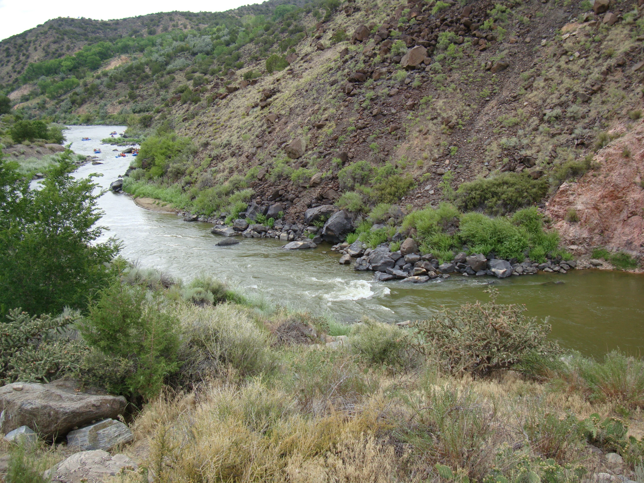 some animals grazing next to a small stream