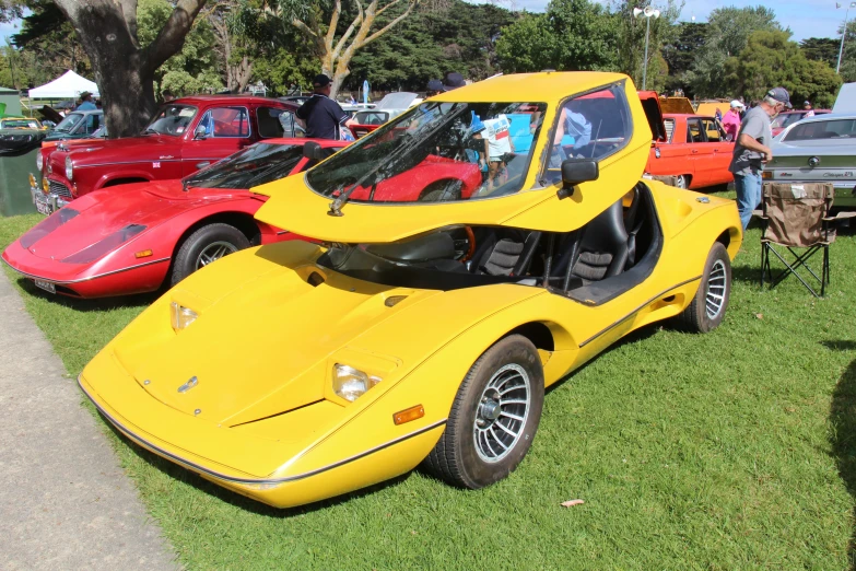 cars parked on grass at an event with people