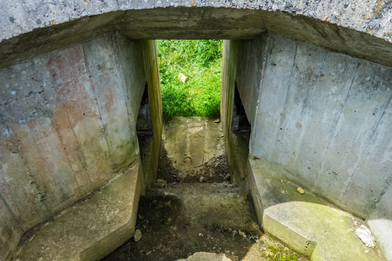 an arch in a concrete building with moss growing inside it