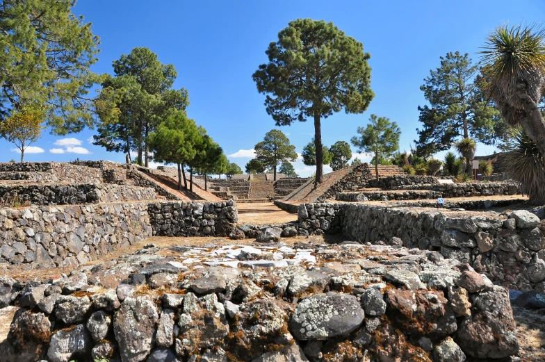 a stone path with a tree and stone wall surrounding it