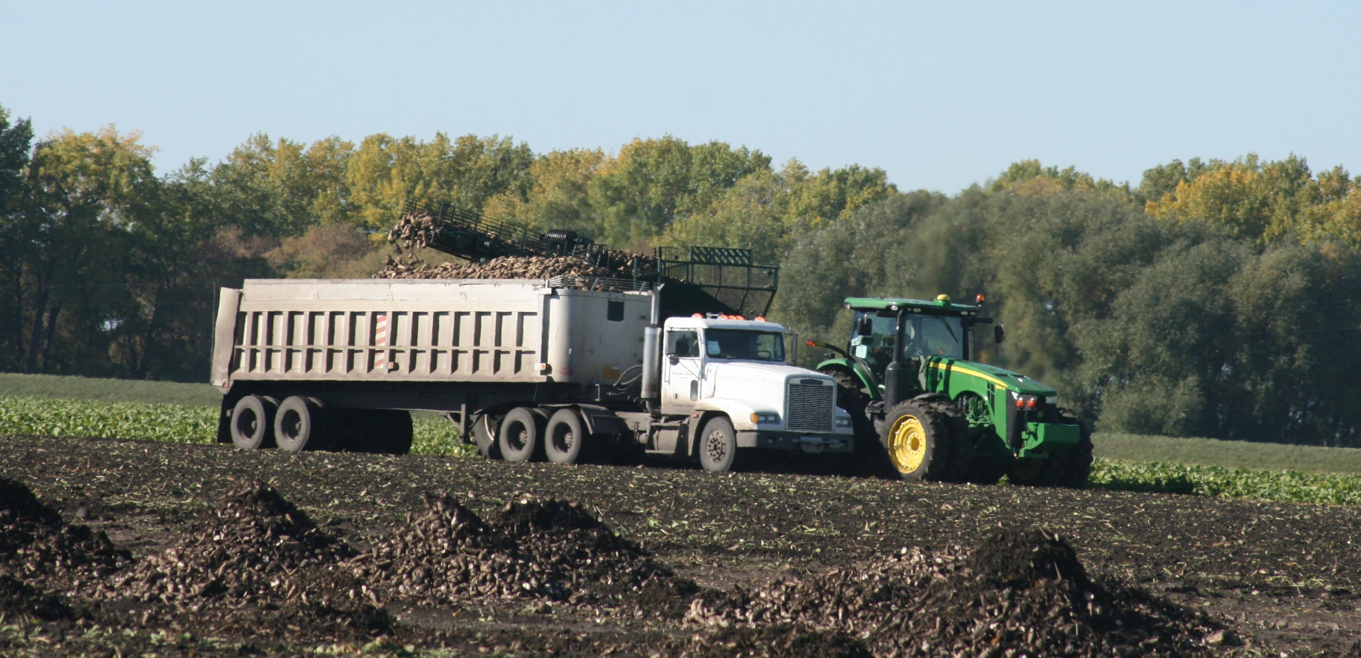 a couple of trucks and some trees and grass