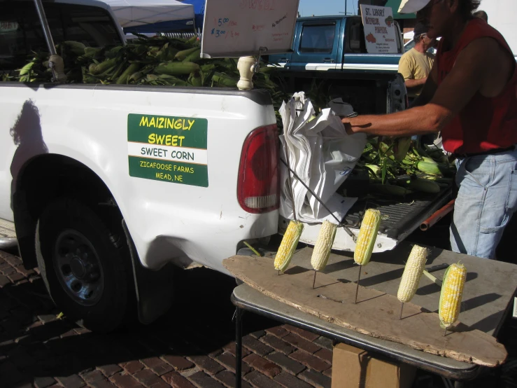 a person standing by the back of a truck picking up some corn