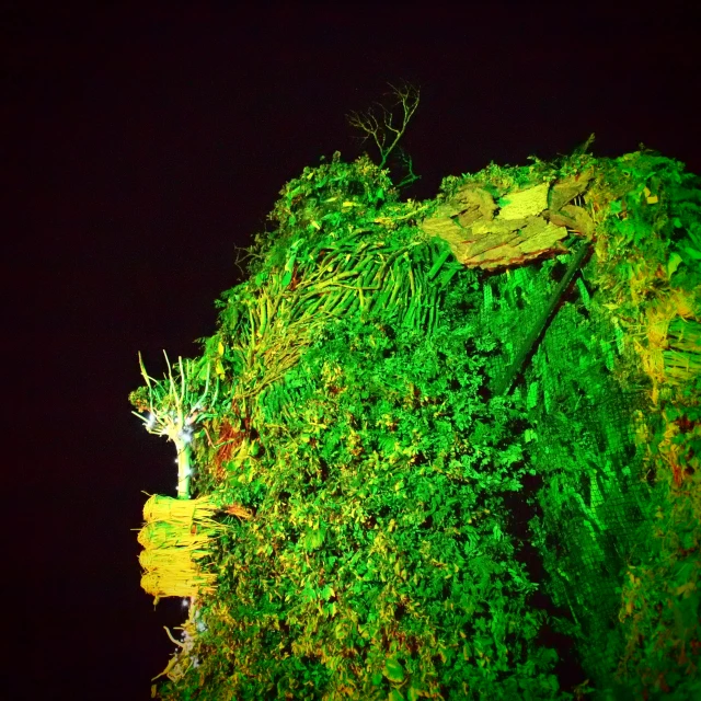 a street light showing green on a dark background