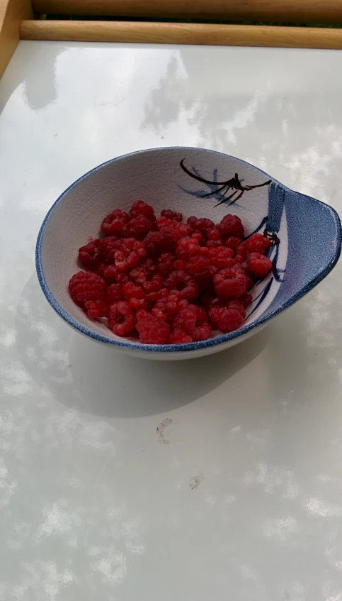 a white table topped with a bowl of raspberries