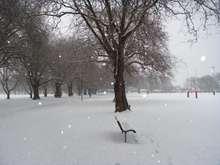 an image of the snowy park during the day