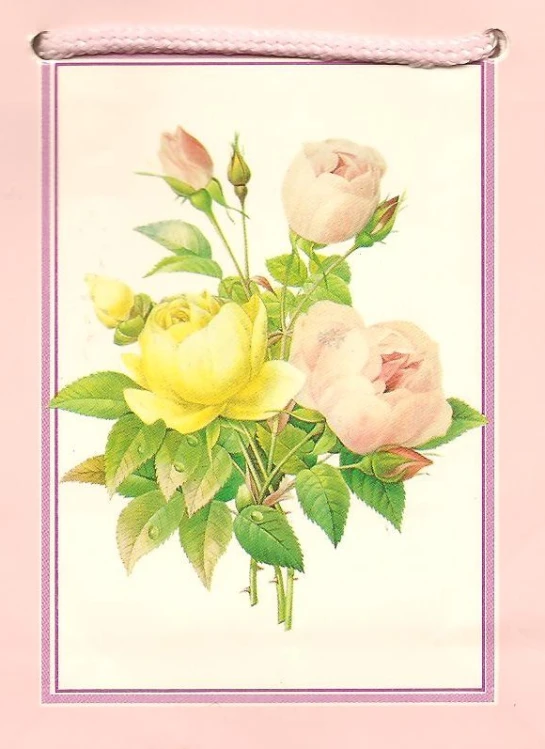 picture of flowers in a pink frame on display