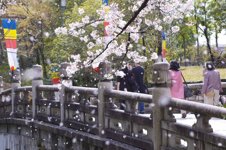 there are several people standing on the small bridge