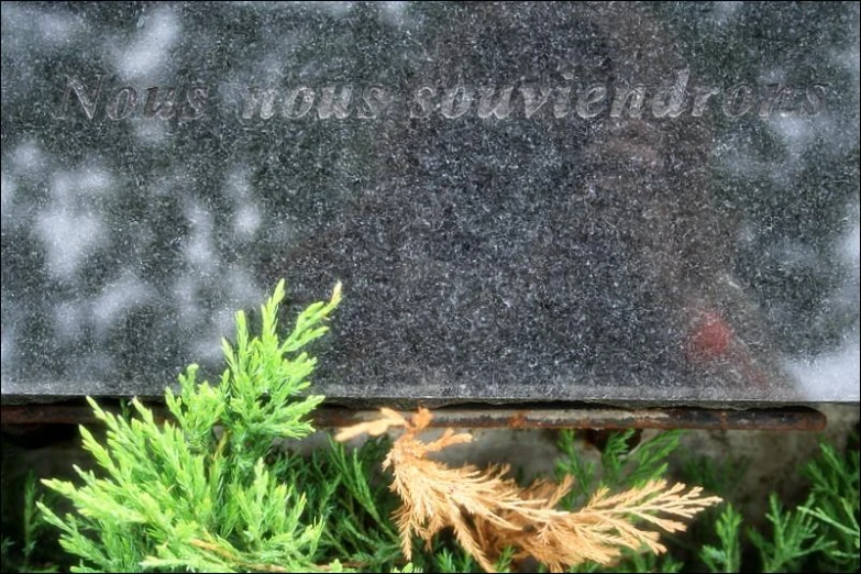 a monument with a plant and inscription on the front