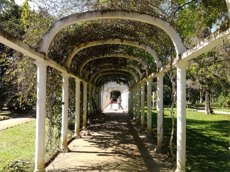 an image of the walkway at a park