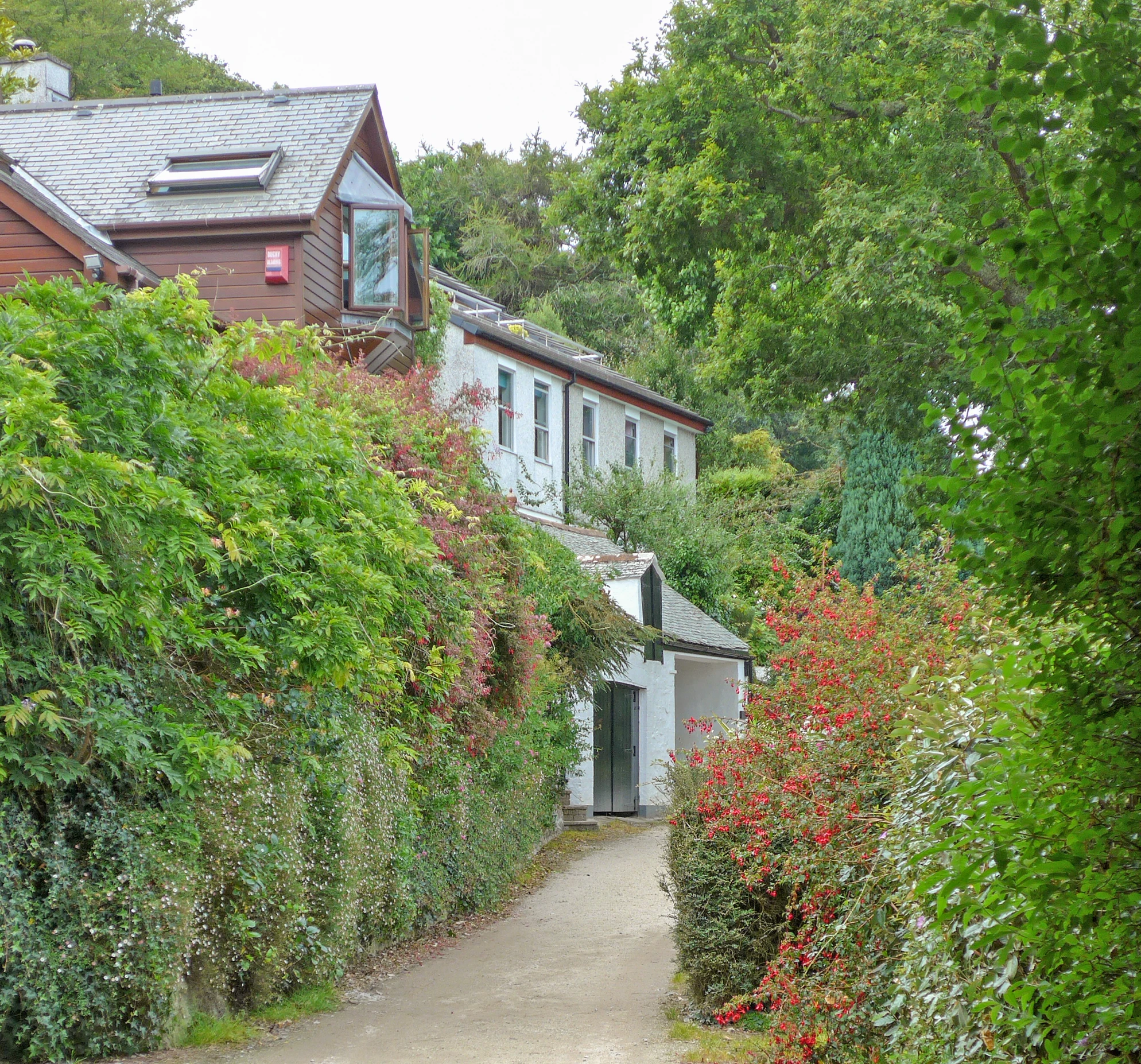 several bushes surround the path way and some houses on each side