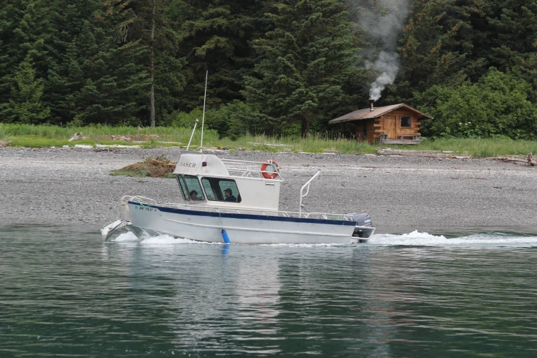 a white boat on the water near a tree