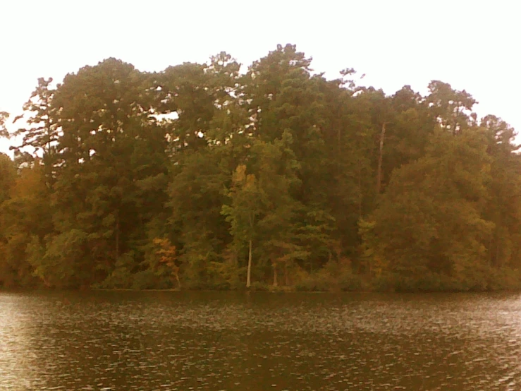 a view of some water from across a tree covered lake