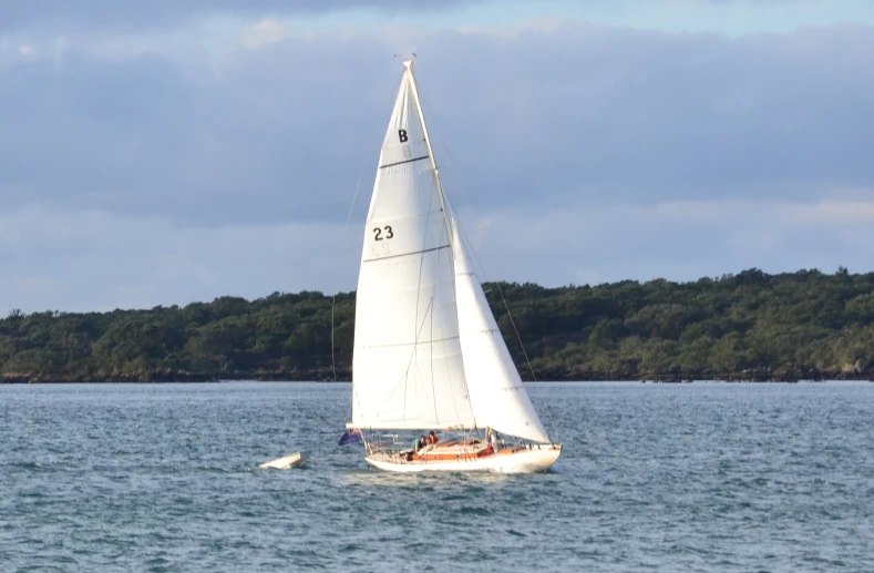 a sailboat is in the water by a forested hill