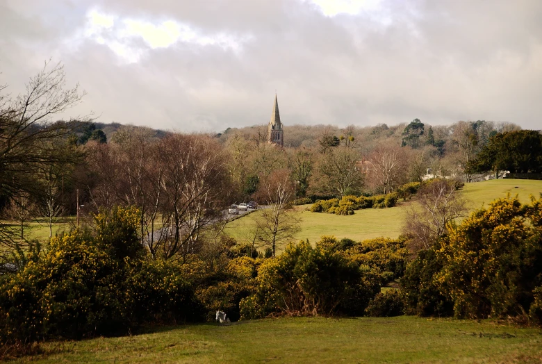 the view of a lush green valley with a church steeple on top of it