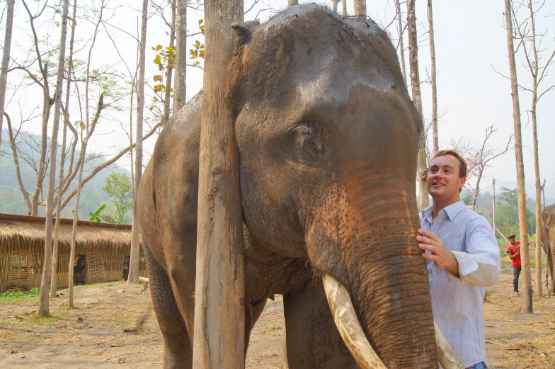 a man standing next to an elephant in a tree forest