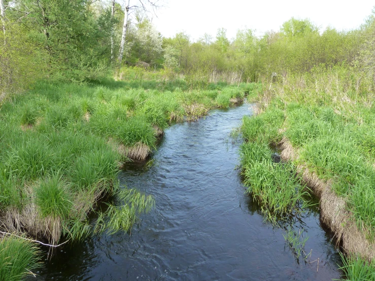 a river running through a lush green countryside