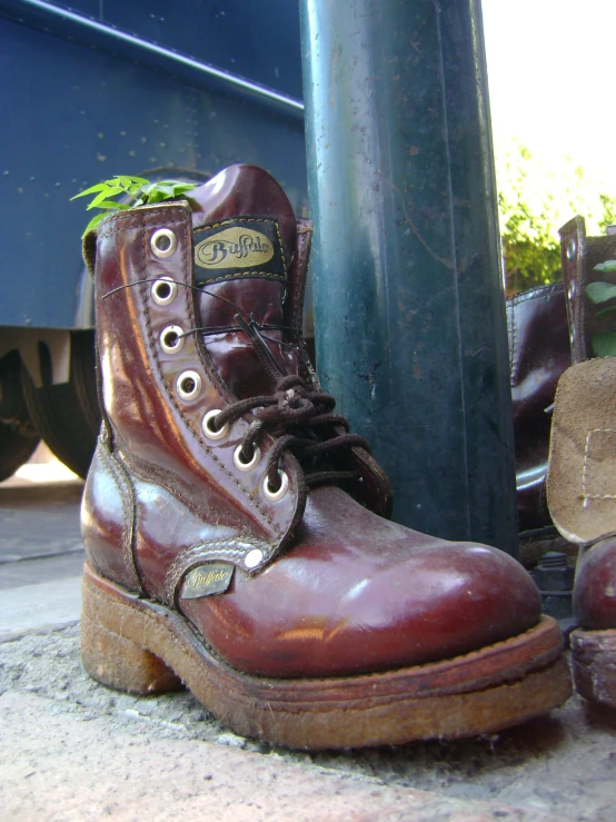 brown boots that have some grass growing from them