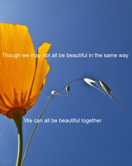 a tall yellow flower with a quote written on it