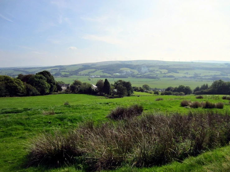 an open countryside with grass and trees