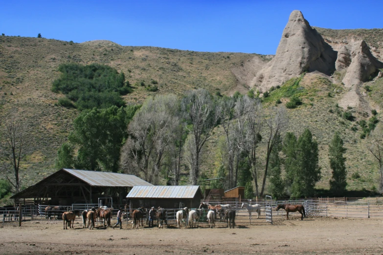 horses in pen by wooden barn and mountain side