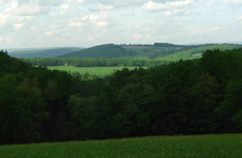 a green landscape with hills in the distance
