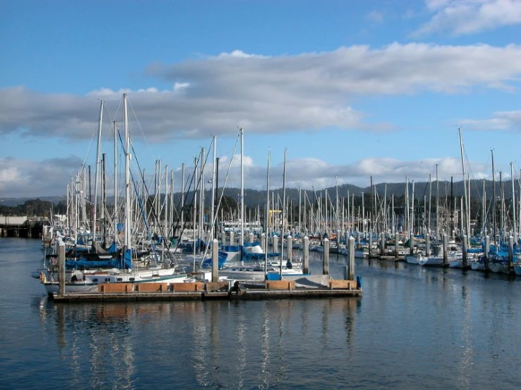 many sailboats in a harbor during a partly cloudy day