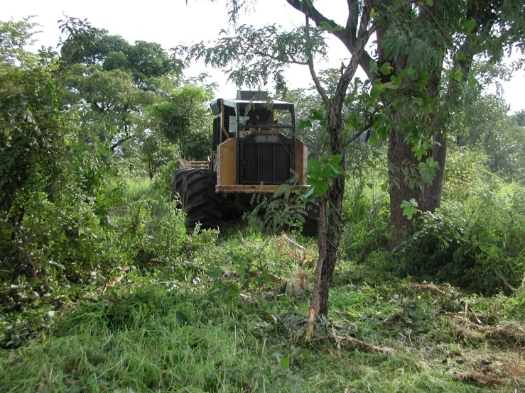 a tractor is parked in some high grass