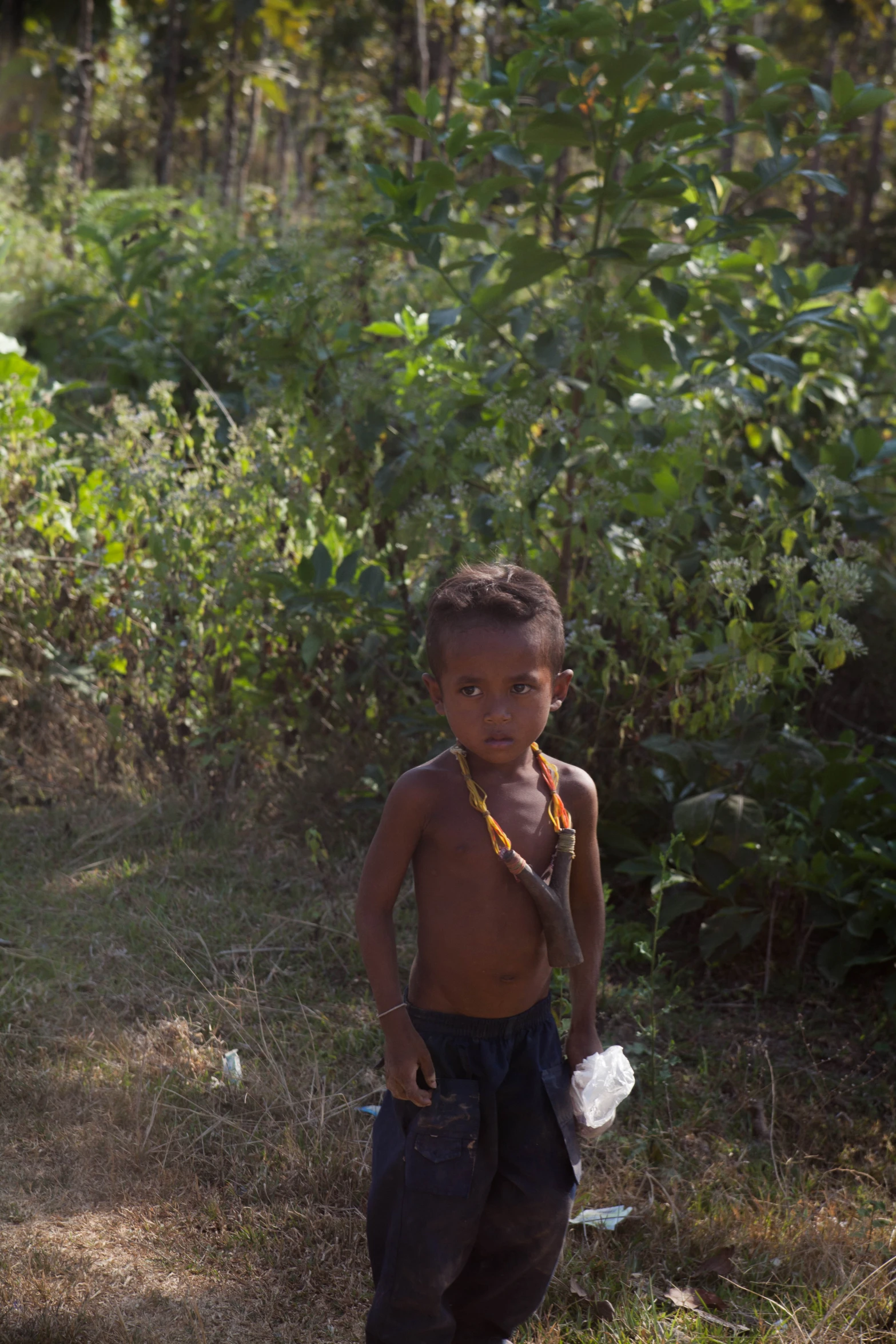 a small boy walking in the woods with some trees