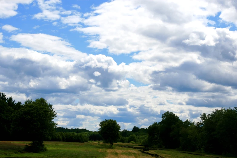 a field with trees in the background and clouds overhead