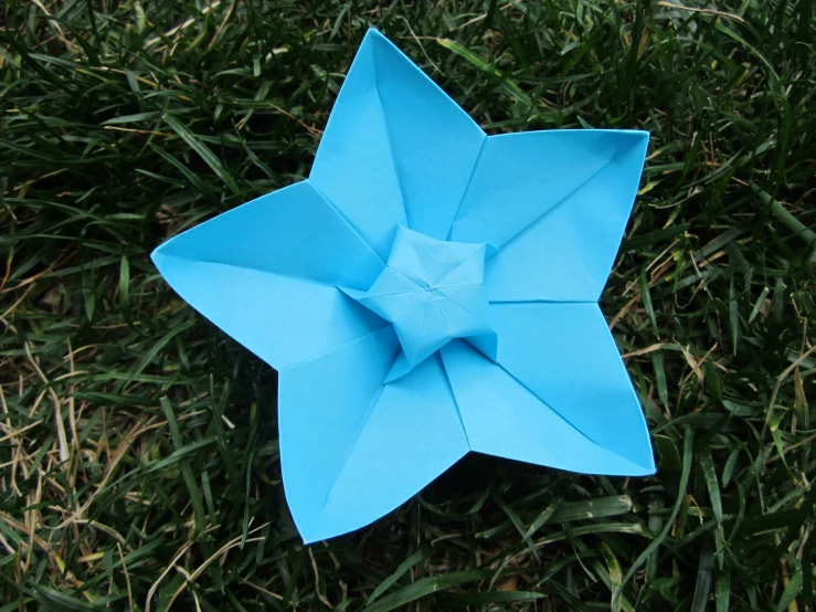 a paper star sitting in the middle of some green grass