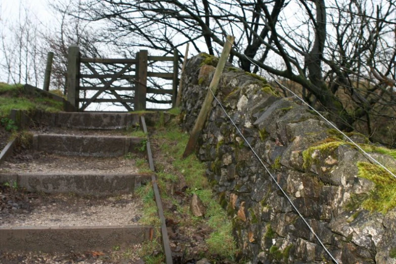 a set of steps that are next to some grass