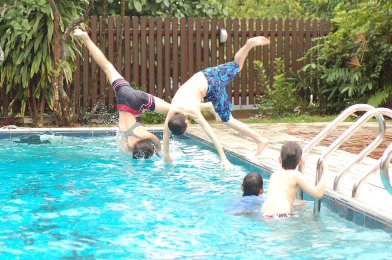 four people playing in a swimming pool while a dog watches