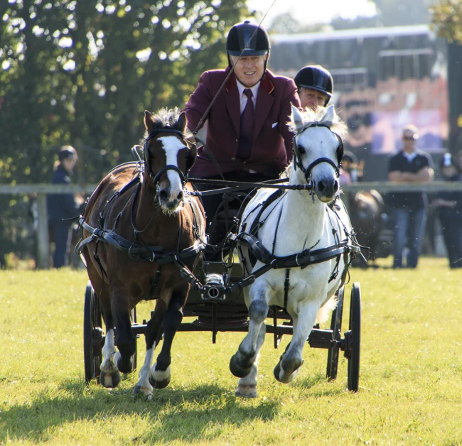 an older man riding a carriage with two horses