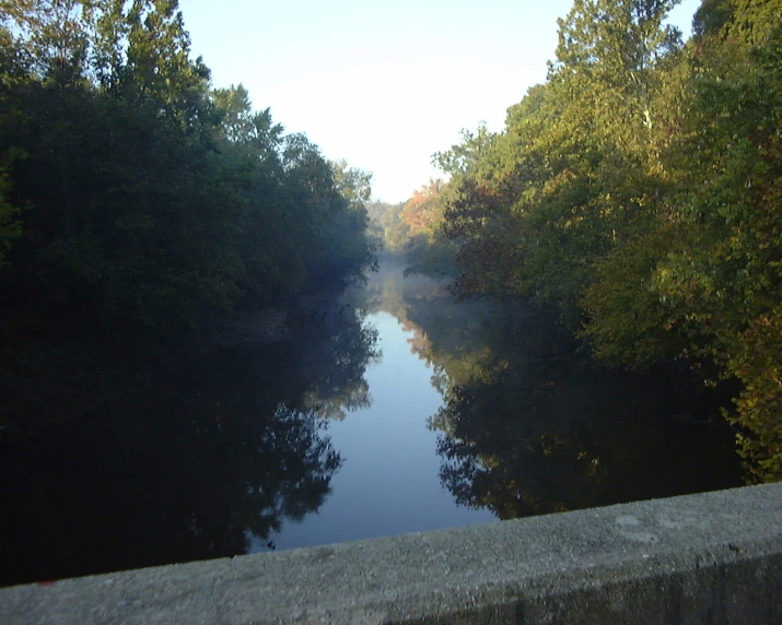 a body of water surrounded by trees and shrubbery