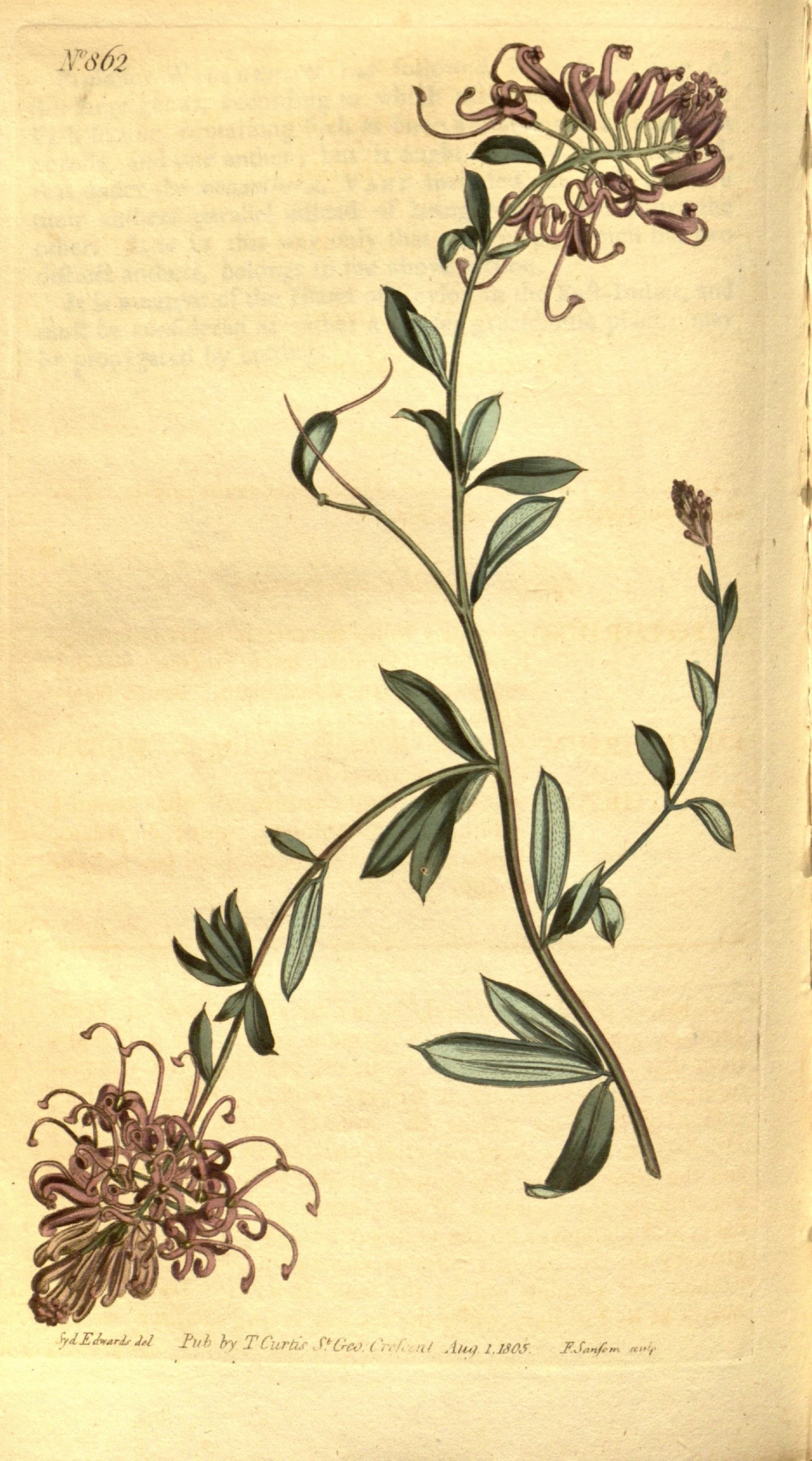 a drawing of some flowers with green leaves