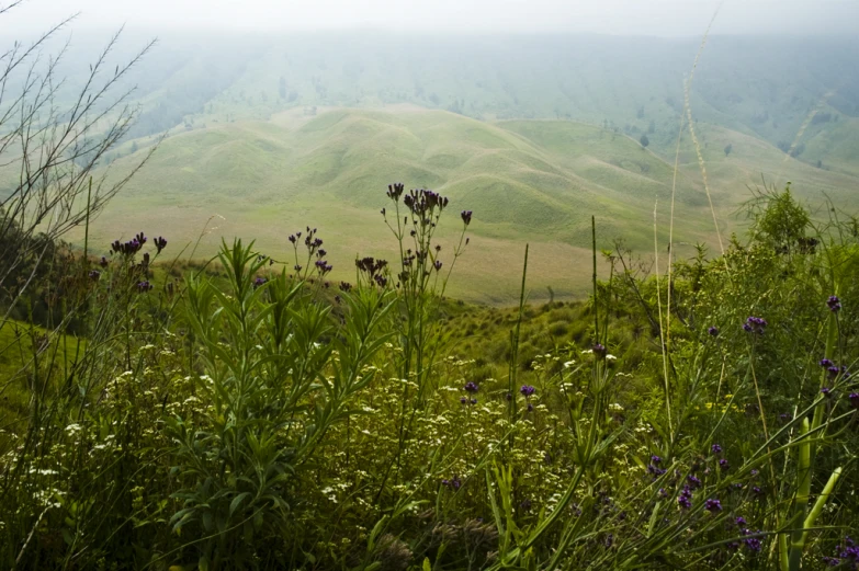 the countryside looks far down on the hills