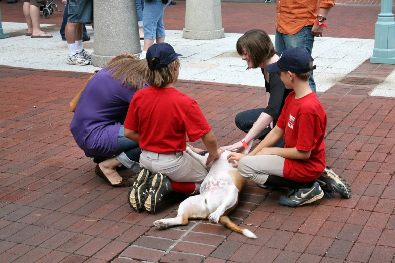 the group of people sit and pet the dog on the sidewalk