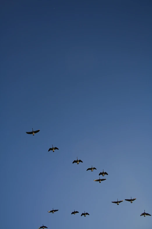 a formation of military planes flying through the sky