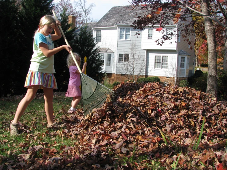 a couple of people in a yard with leaves