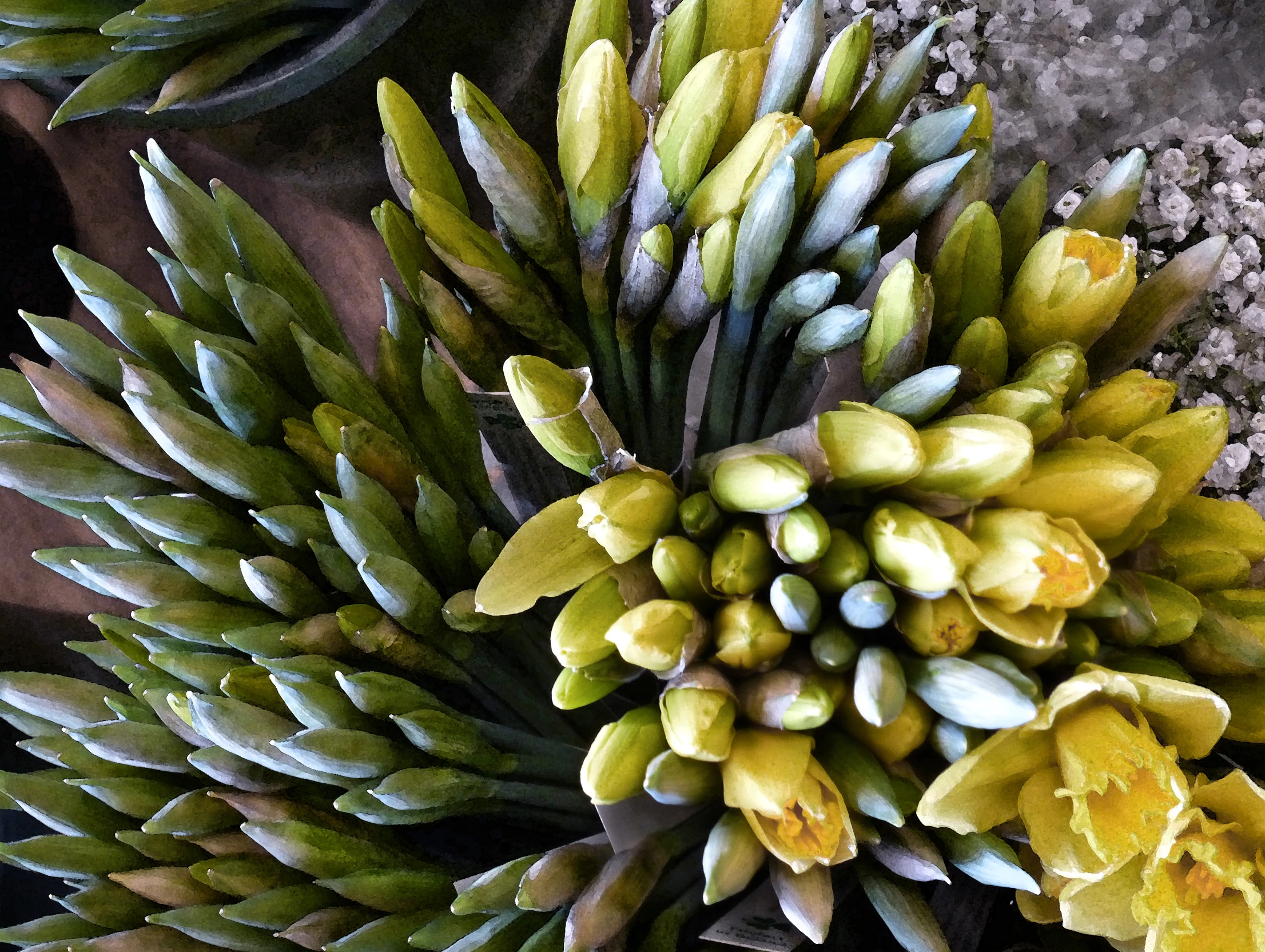 the flowers have been arranged in different directions