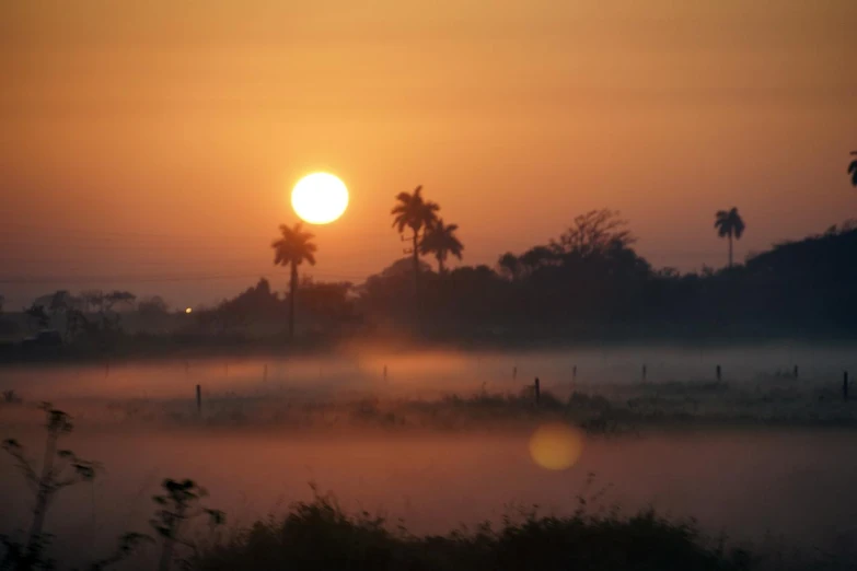 the sun is setting over trees in the foggy field