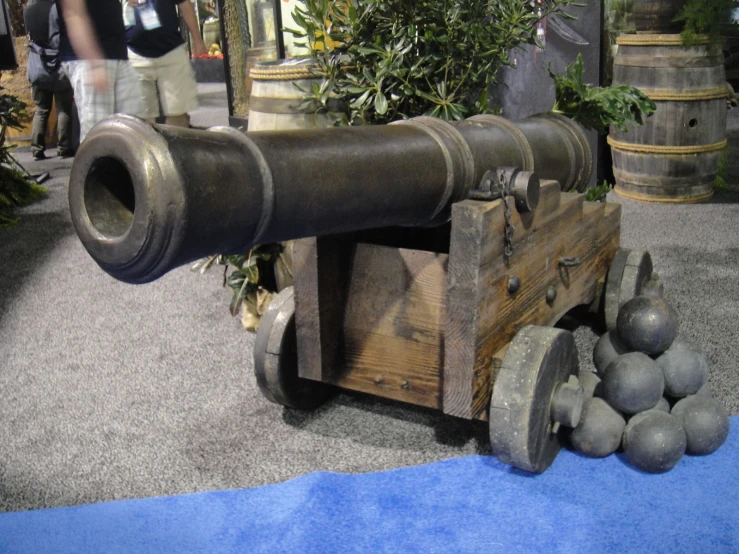 this is a cannon with its two trunks in it