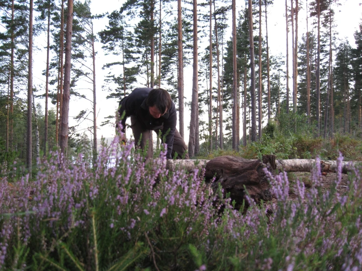 a man on horseback bends over over looking the ground