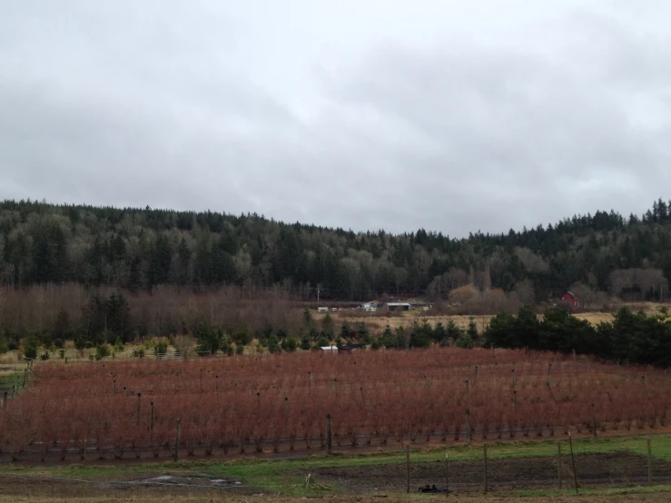 the countryside with a road on one side and hills on another