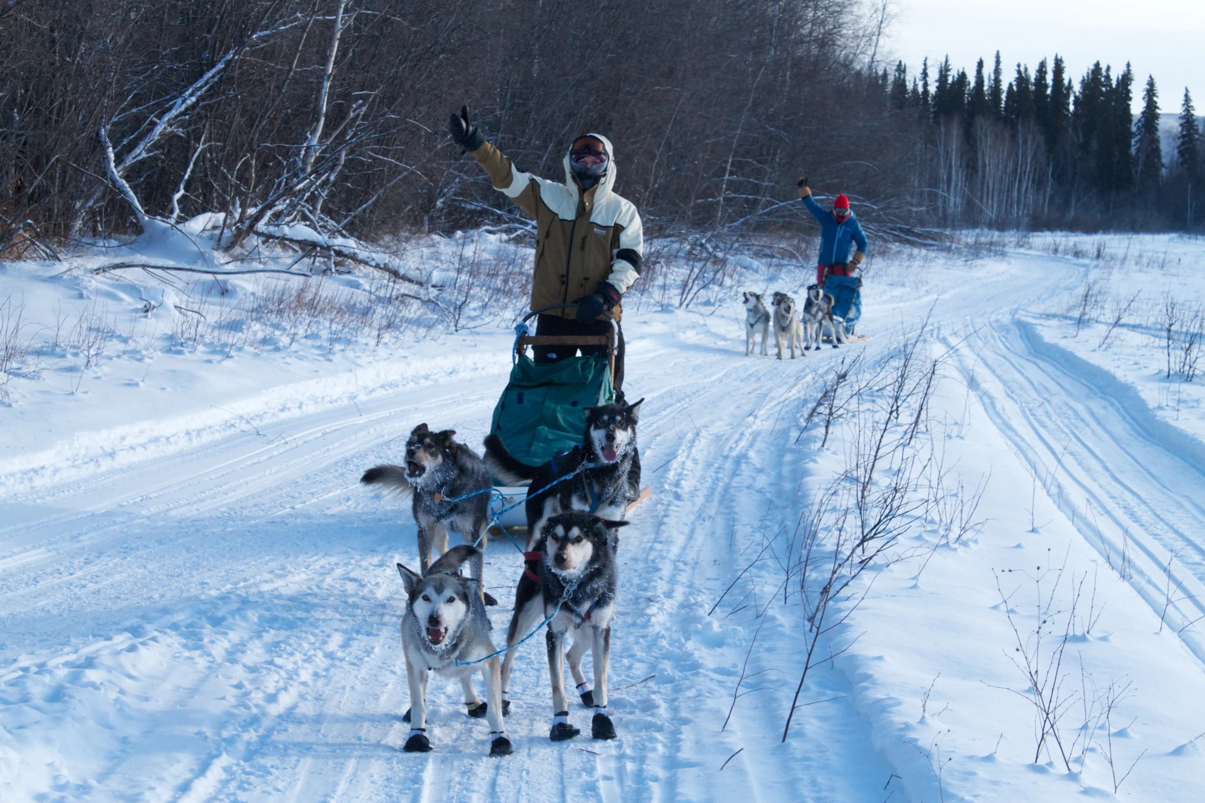 a man riding on the back of a sled being pulled by dogs